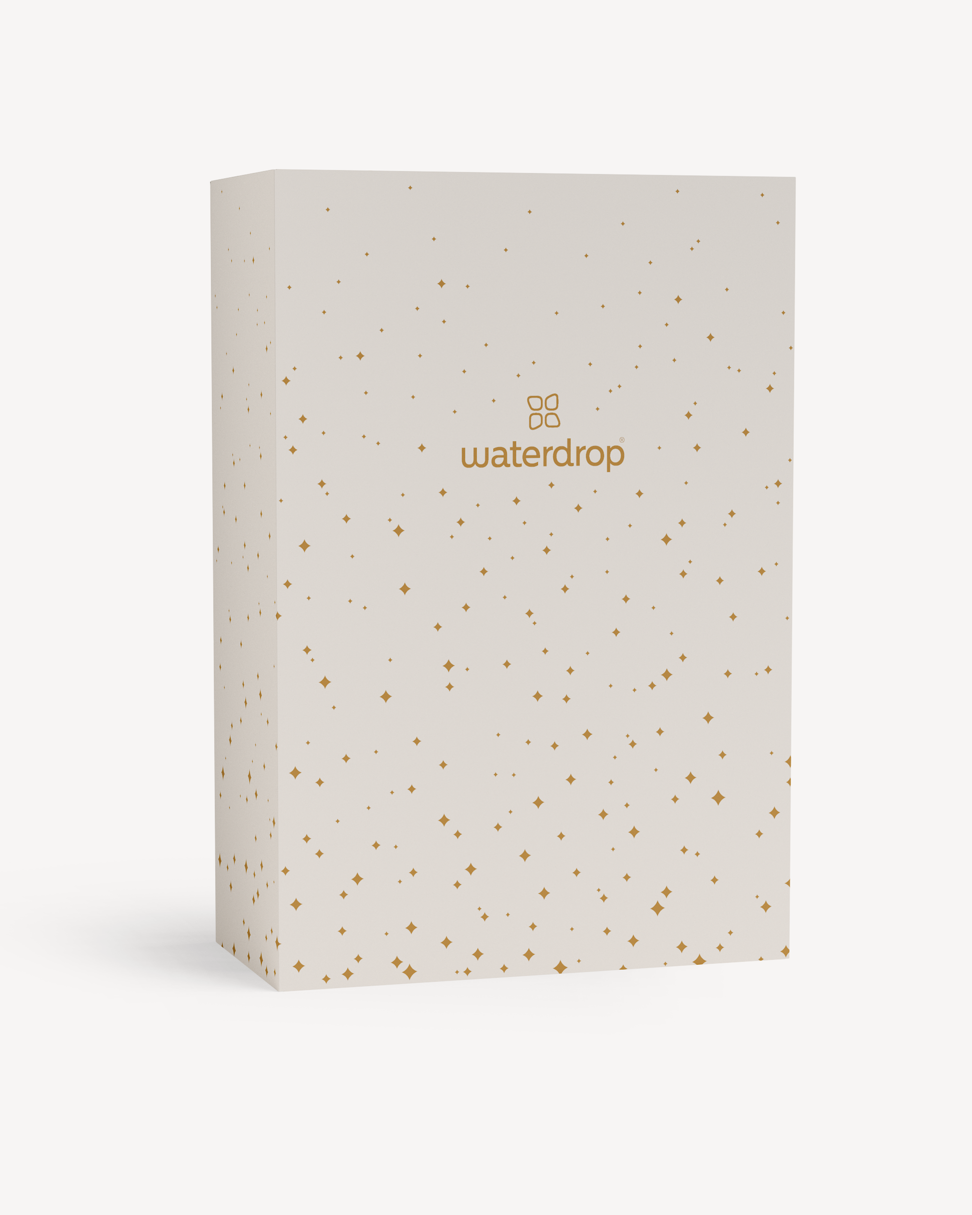 Christmas Gift Box (Reward)